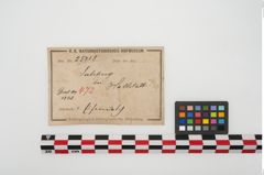 Foto von Eisenantennendolch (NHMW-PRAE-025118)